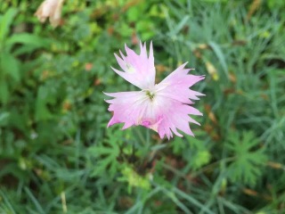 宝华山国家森林公园