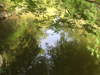 杭州灵隐（飞来峰）景区