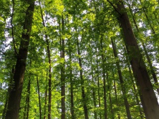 杭州灵隐（飞来峰）景区