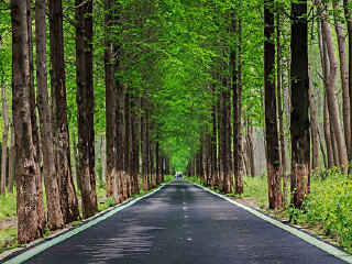 小田原儿童森林公园