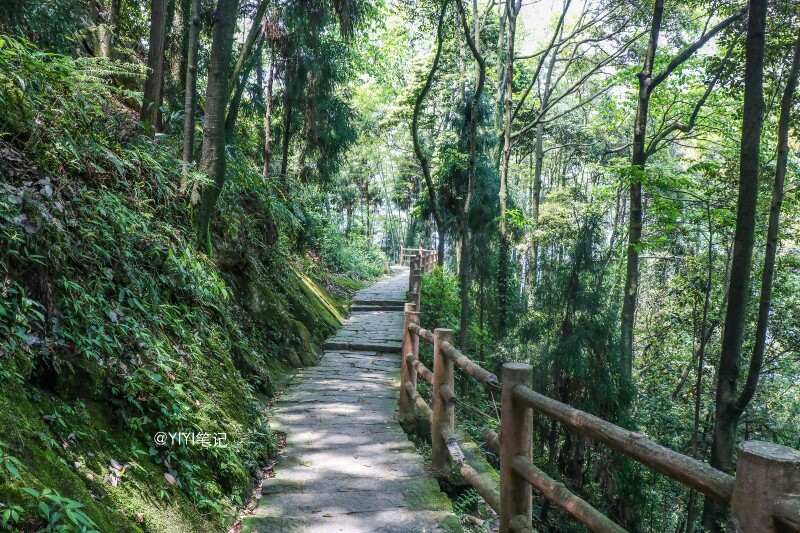 徒步踏青峨眉山,玩转半山也是极美【首发】