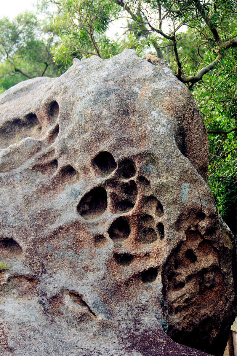 这些是典型的海蚀蜂窝石.