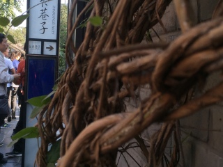 成都新南门车站