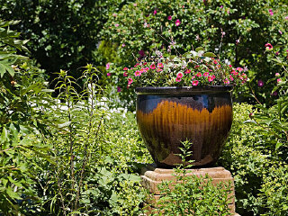 江原道立花木园