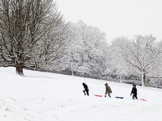 韩国民俗村雪橇场