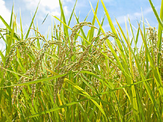 东津水利博物馆