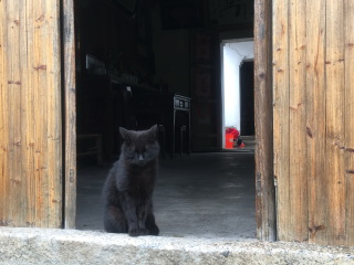 查济明清古建筑群