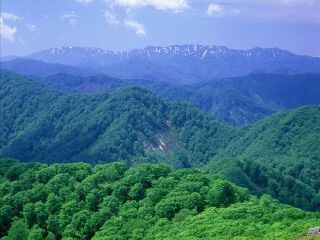 白神山地