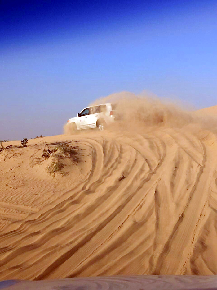 越野车在沙海中冲越沙丘简直太刺激了,尖叫声不亚于坐过山车.