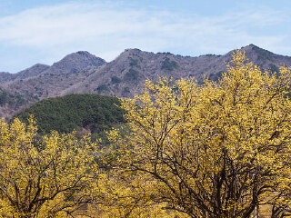 葛城山游客中心