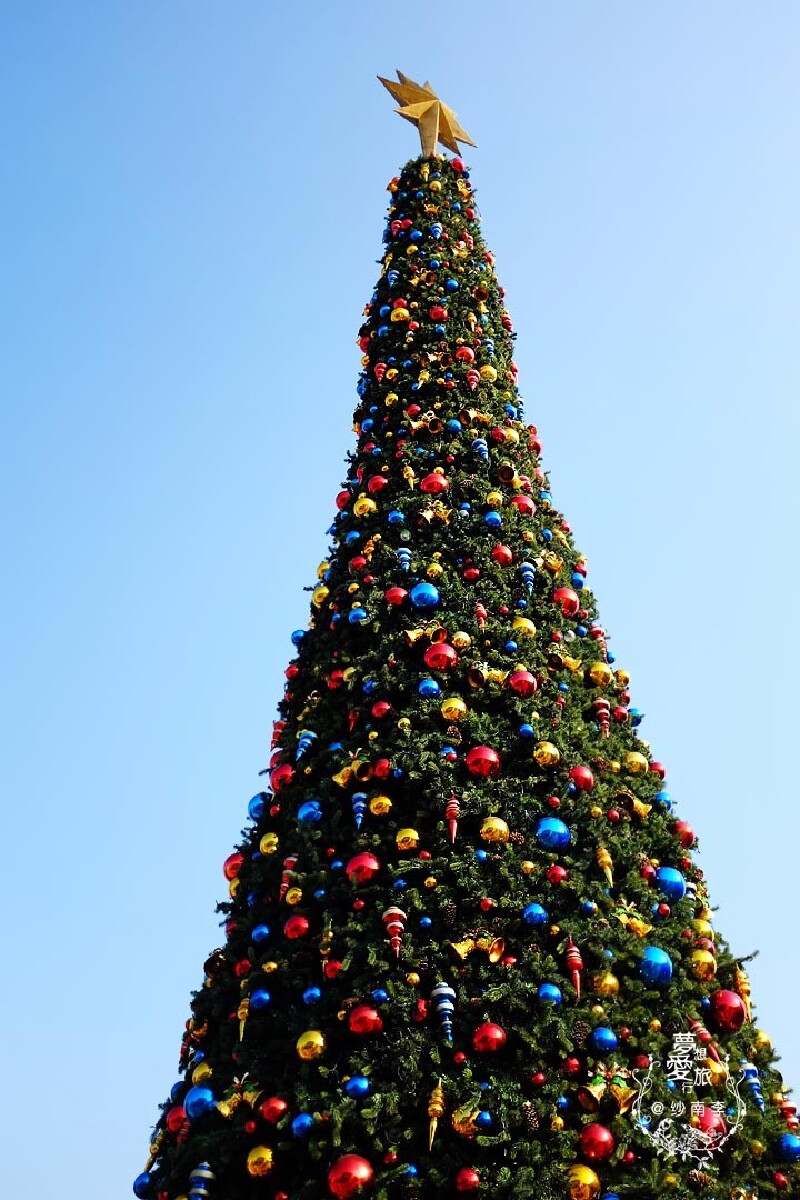 圣诞亮灯仪式简直像梦幻一般!