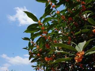 太山研学旅行基地
