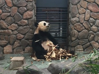 成都市国际非物质文化遗产博览园旅游景区
