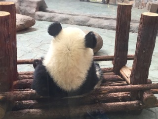 成都市国际非物质文化遗产博览园旅游景区