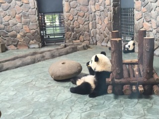 成都市国际非物质文化遗产博览园旅游景区