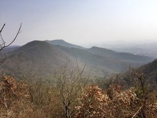 老山国家森林公园