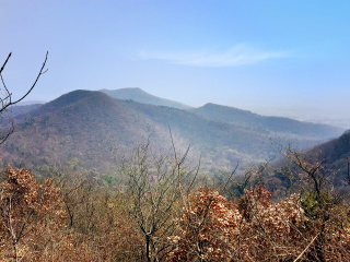 老山国家森林公园