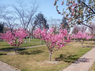 开滦国家矿山公园