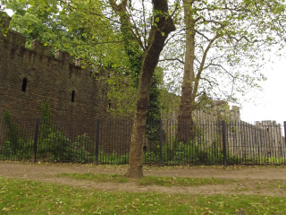 坎特伯雷罗马博物馆