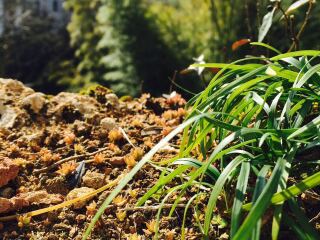 江西婺源风景区