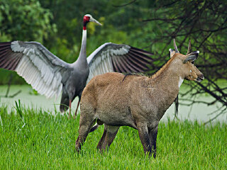 考比特国家公园