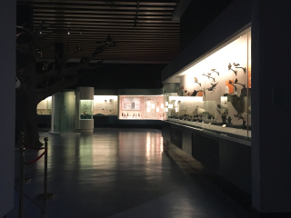 青藏高原自然博物馆