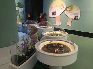 青藏高原自然博物馆