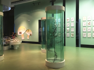 青藏高原自然博物馆