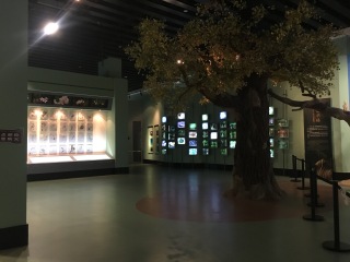 青藏高原自然博物馆