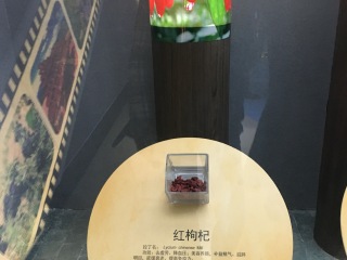 中华枸杞养生苑