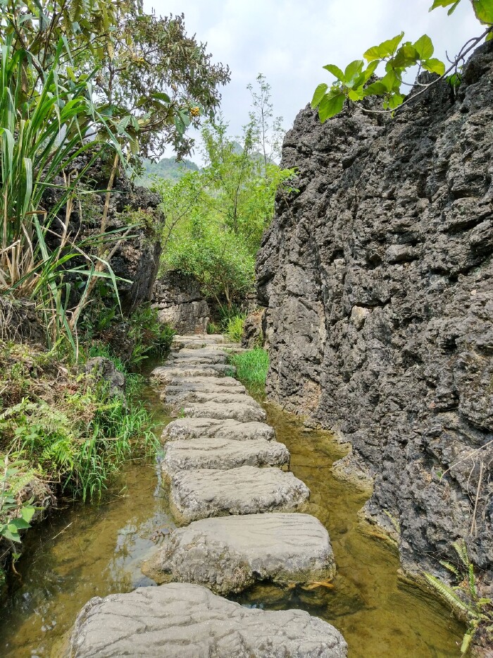 那里有水的地方都是这样的石头组成的路