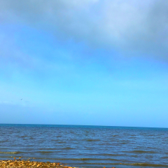 青海湖