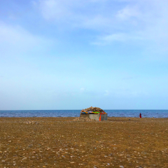青海湖