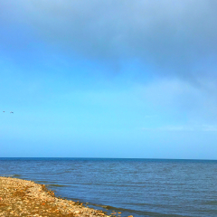 青海湖