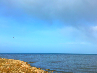 青海湖