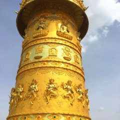 ﻿中华福运轮
