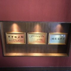 ﻿中华福运轮