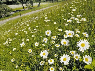 河北建筑工程学院