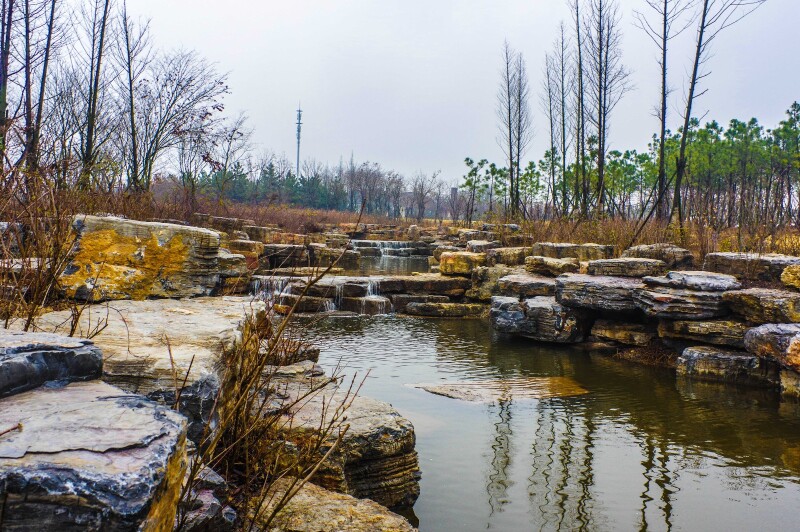      三台山森林公园