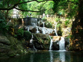 鼎湖山