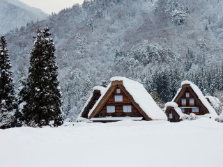 岐阜县