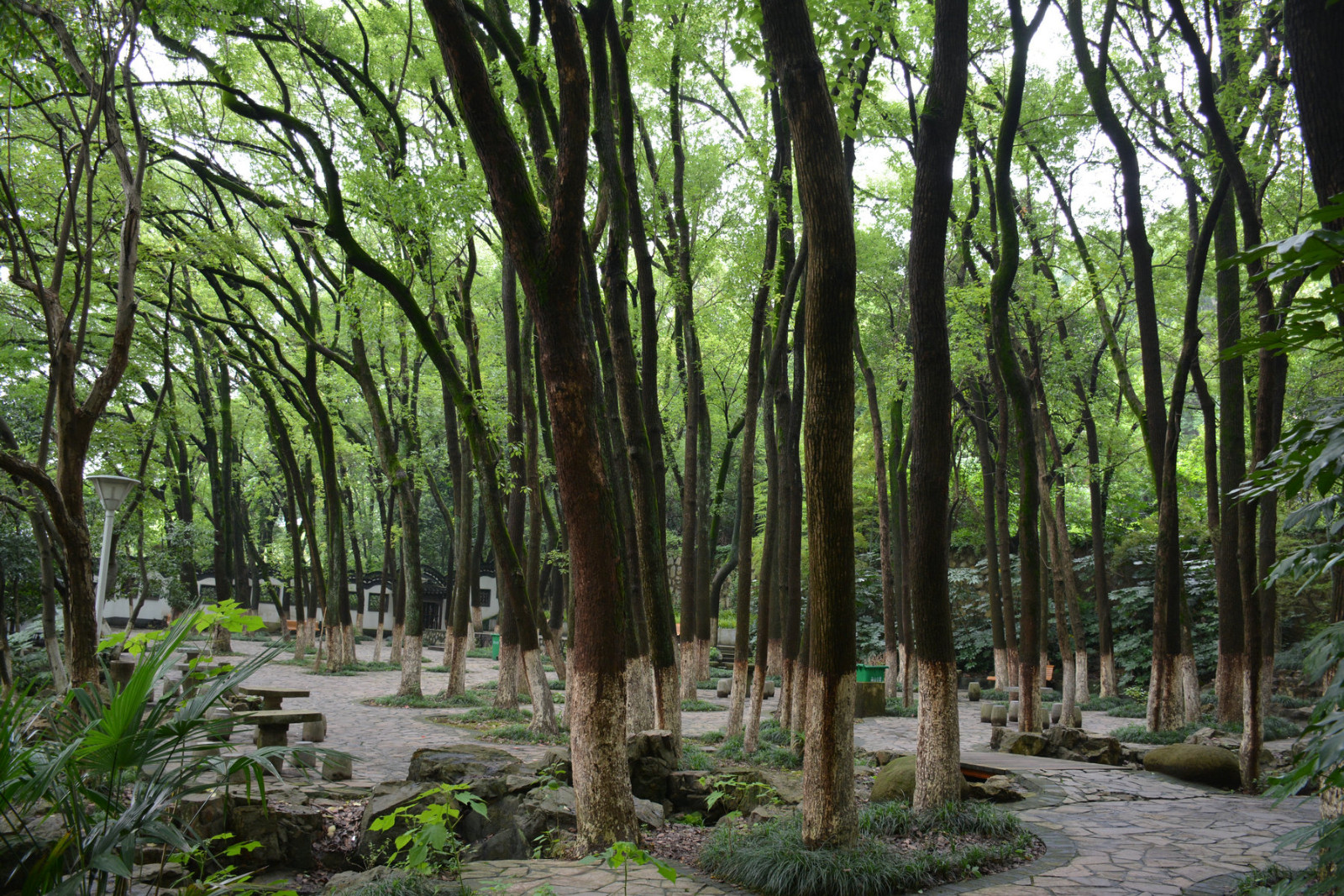 【纪念日,芜湖两日游】陪孙先生故地重游—赭山公园,美食,酒吧