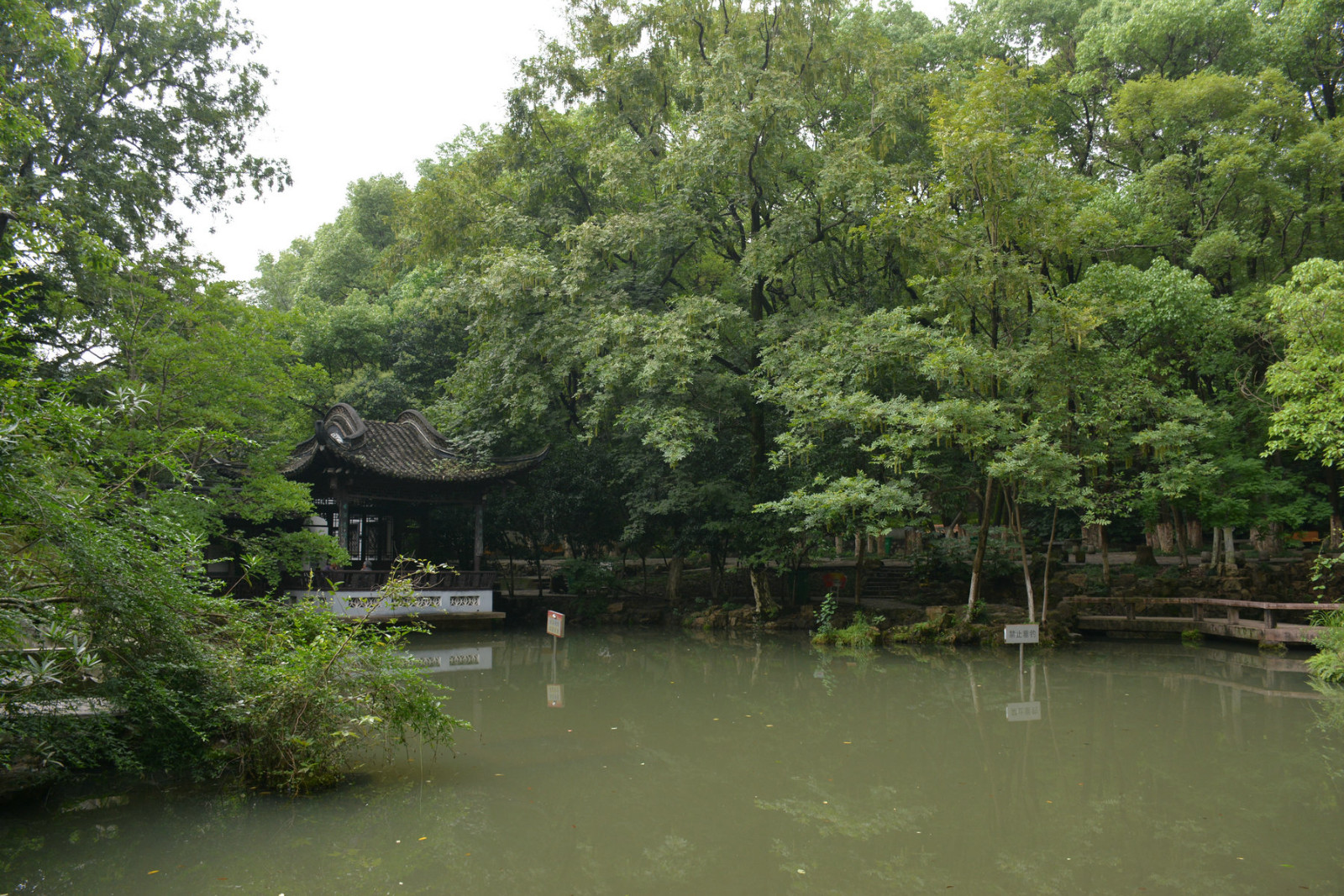 【纪念日,芜湖两日游】陪孙先生故地重游—赭山公园,美食,酒吧