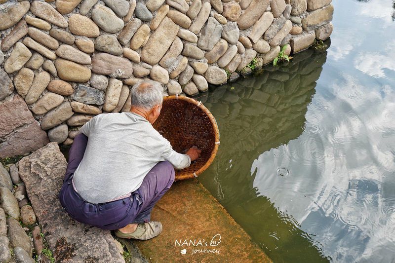 『乡村美学之旅』水秀楠溪江