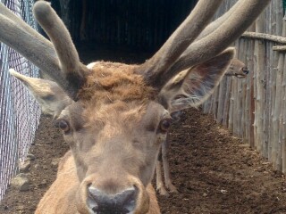 道须沟旅游景区