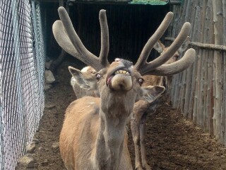 道须沟旅游景区