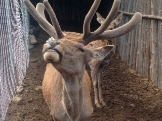 道须沟旅游景区