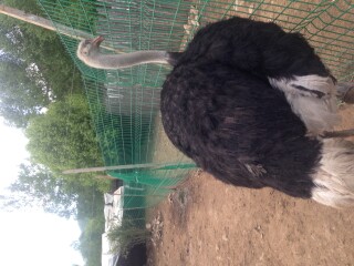 道须沟旅游景区