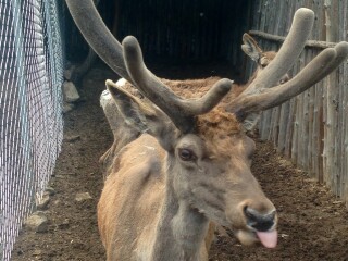道须沟旅游景区