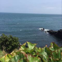济州岛
